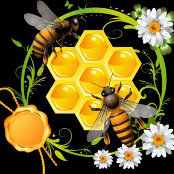 “Цветочный мед”